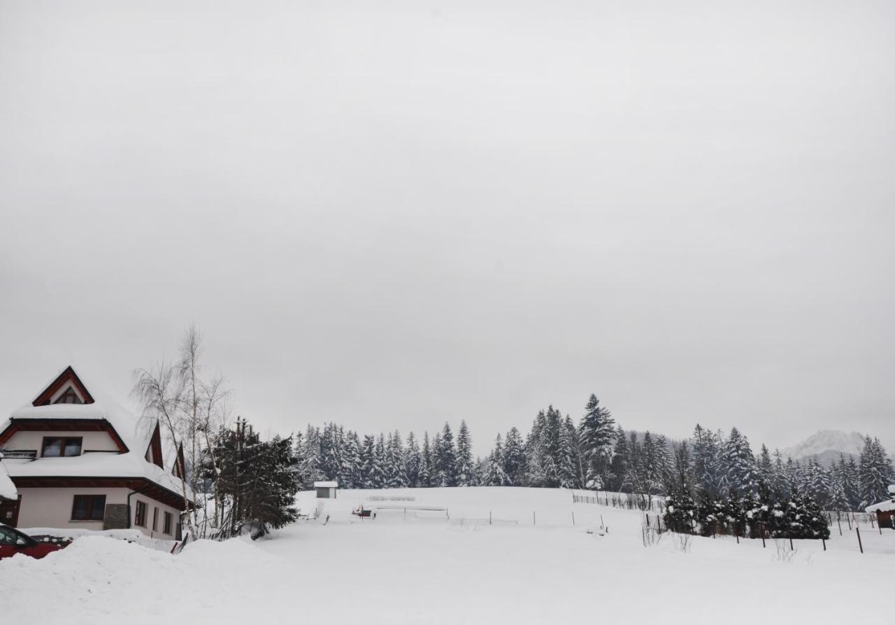 Apartamenty Jszi Zakopane Buitenkant foto