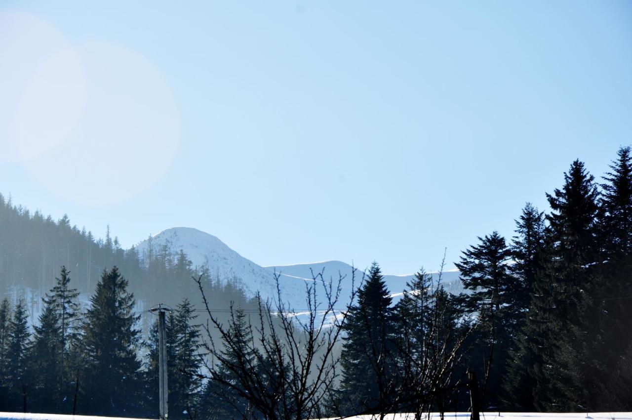 Apartamenty Jszi Zakopane Buitenkant foto