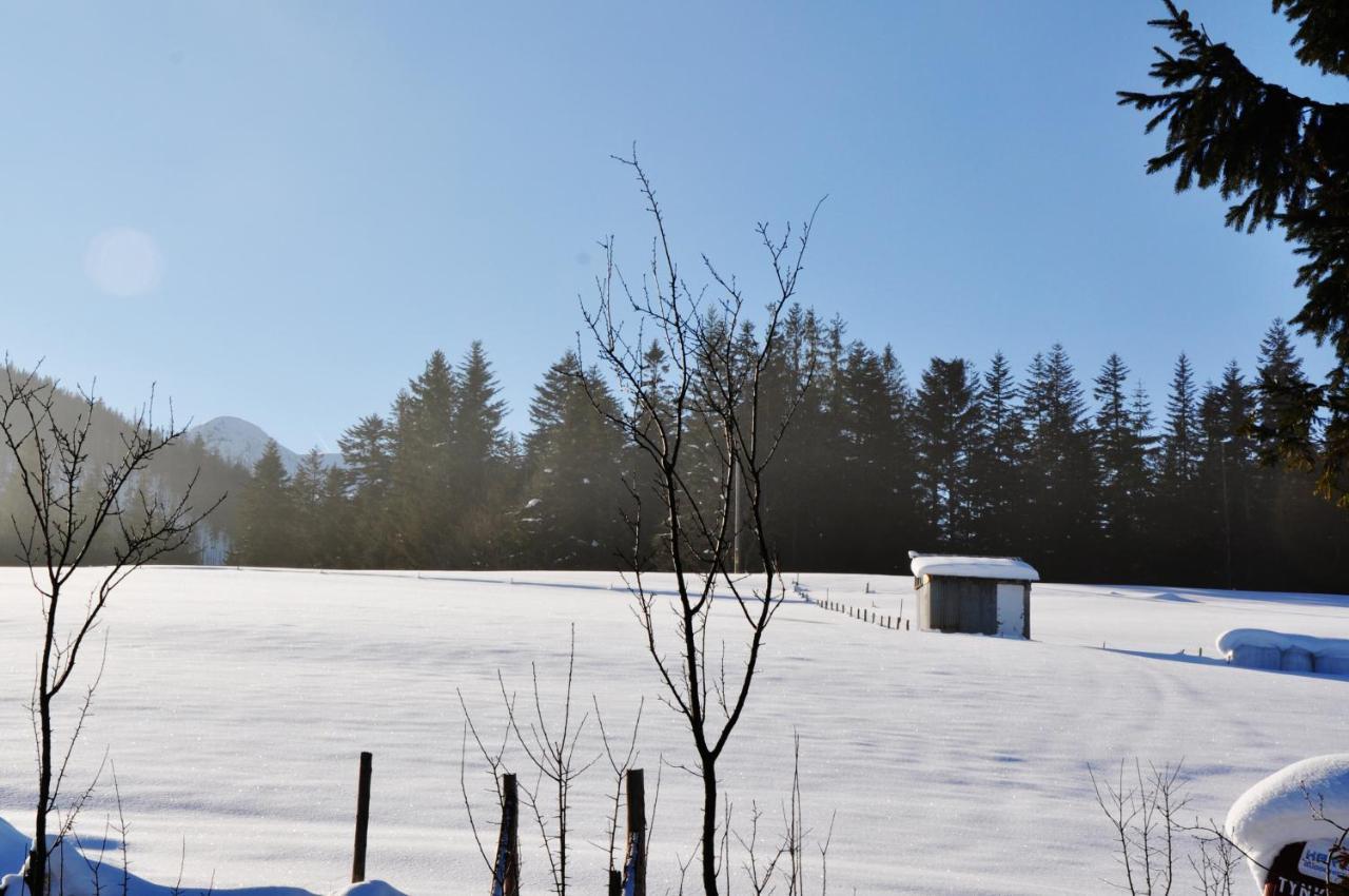Apartamenty Jszi Zakopane Buitenkant foto