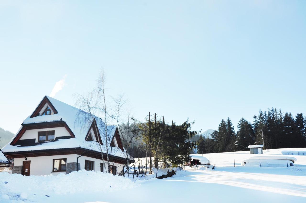 Apartamenty Jszi Zakopane Buitenkant foto